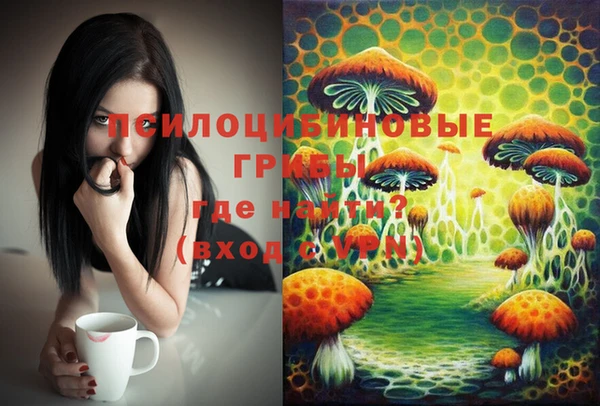 круглые Инсар
