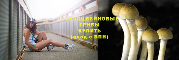 кристаллы Инта