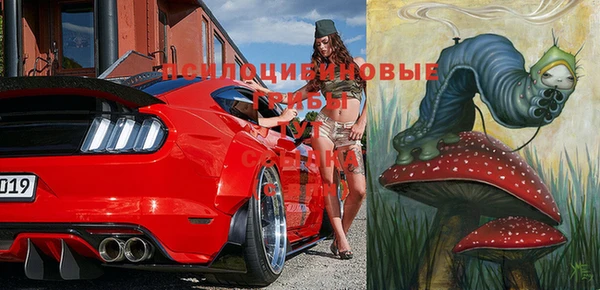 кристаллы Инта
