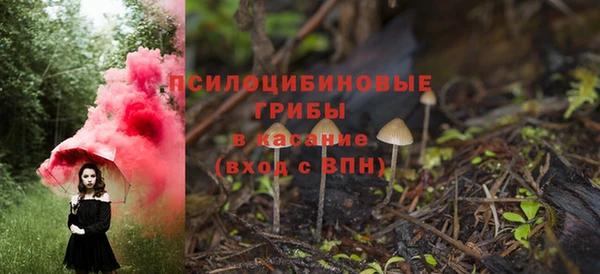 кристаллы Инта