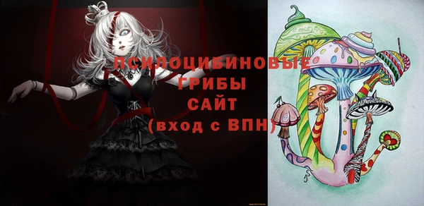 круглые Инсар