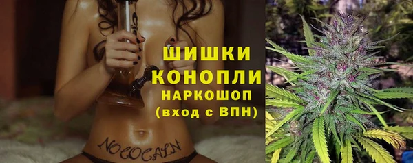 круглые Инсар