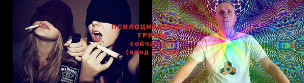прущий лед Усмань