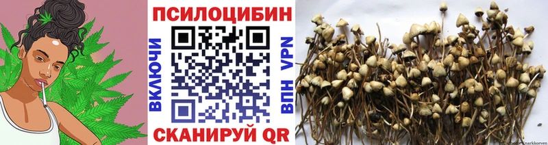 Галлюциногенные грибы GOLDEN TEACHER  Купить где  Новоуральск 
